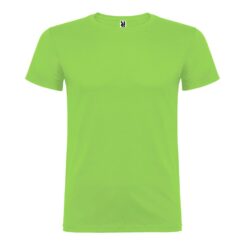 T-shirt beagle green oasis T.M